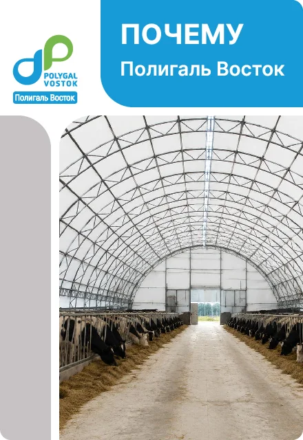 Почему Полигаль Восток