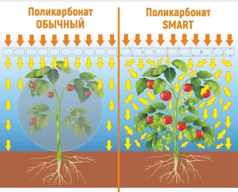 Сотовый поликарбонат Полигаль SMART с умным рассеиванием света.