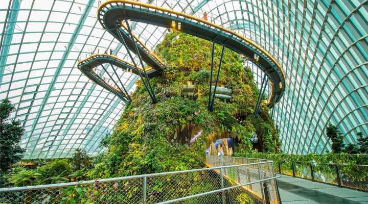 Фото: Cloud Forest в Сингапуре
