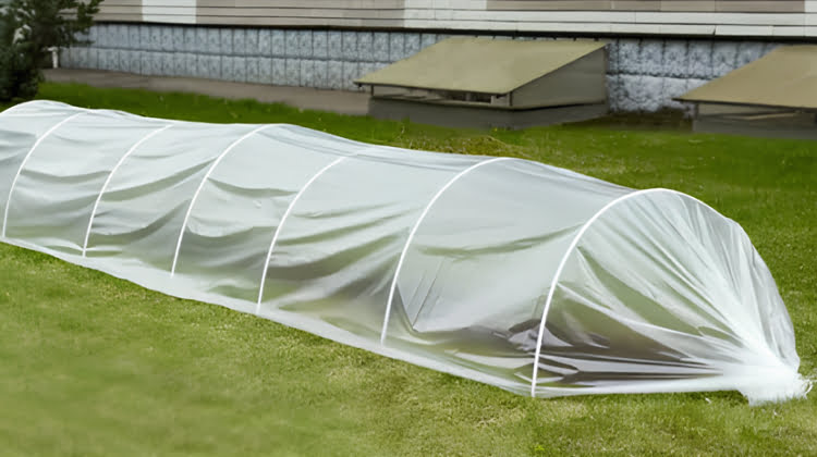 Фото арочного парника