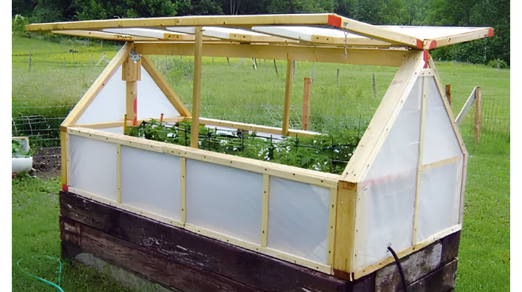 Фото прямостенного парника