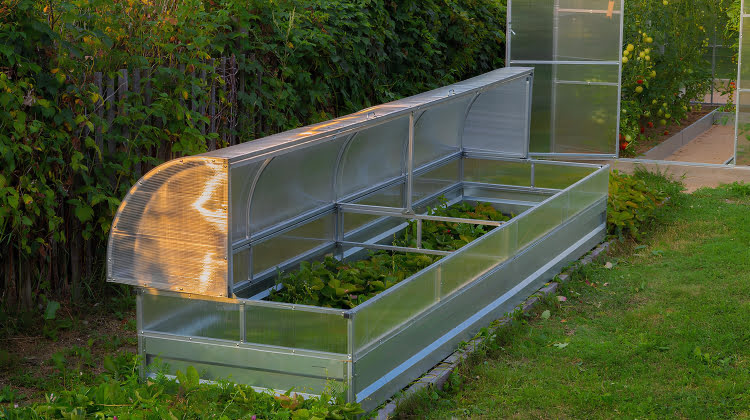 Превью статьи